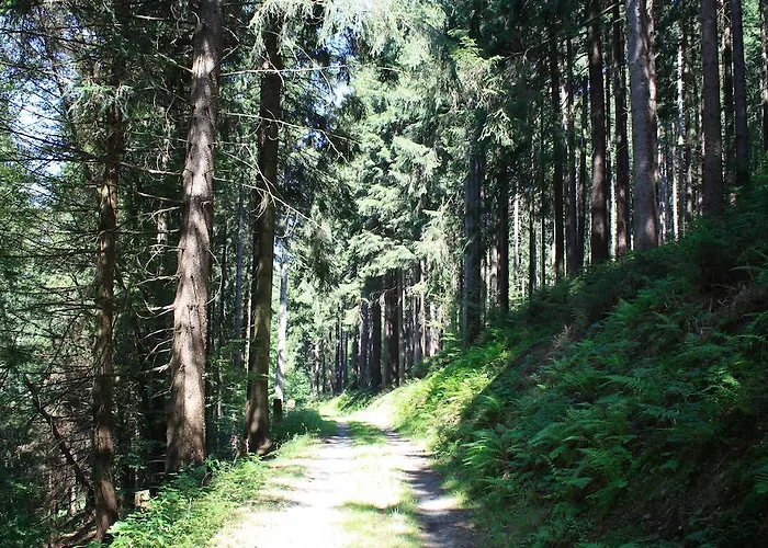 招待所 德罗斯特-沃格特膳食公寓旅馆