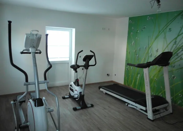 招待所 德罗斯特-沃格特膳食公寓旅馆 3*