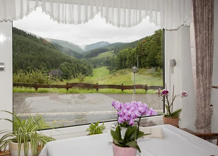 德罗斯特-沃格特膳食公寓旅馆 招待所