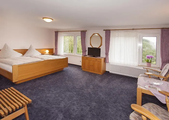 招待所 德罗斯特-沃格特膳食公寓旅馆 施马伦贝格