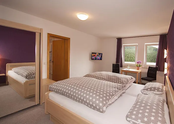 德罗斯特-沃格特膳食公寓旅馆 招待所 施马伦贝格