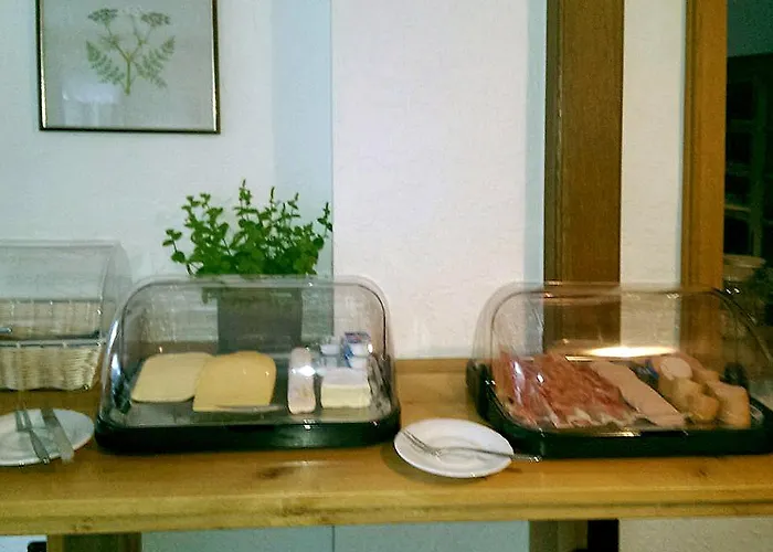 德罗斯特-沃格特膳食公寓旅馆 招待所 施马伦贝格